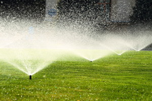 yard sprinkler system